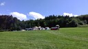 IMG_20190810_15000128Gross29.jpg
